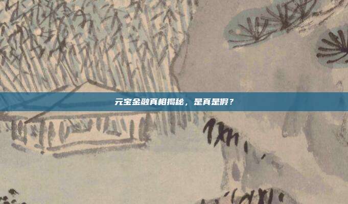 元宝金融真相揭秘，是真是假？