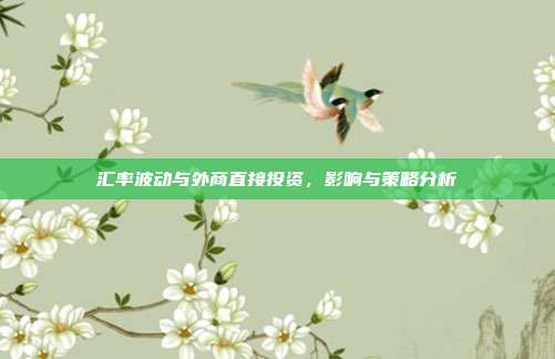 汇率波动与外商直接投资，影响与策略分析