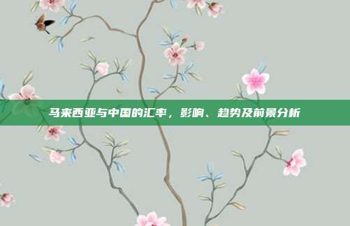 马来西亚与中国的汇率，影响、趋势及前景分析