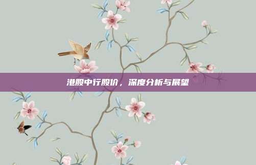 港股中行股价，深度分析与展望