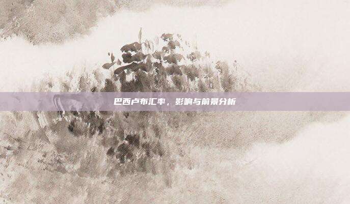 巴西卢布汇率，影响与前景分析