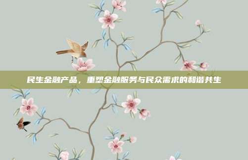 民生金融产品，重塑金融服务与民众需求的和谐共生