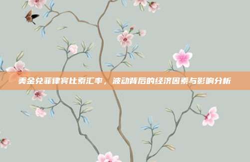美金兑菲律宾比索汇率,波动背后的经济因素与影响分析