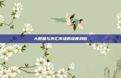 大数据与外汇市场的深度洞察