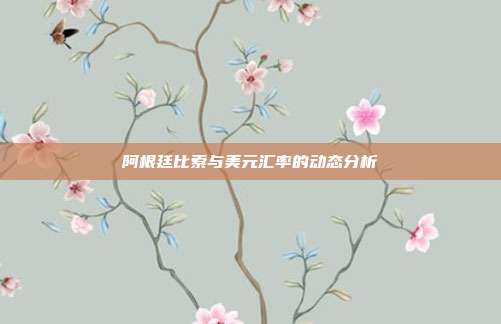 阿根廷比索与美元汇率的动态分析