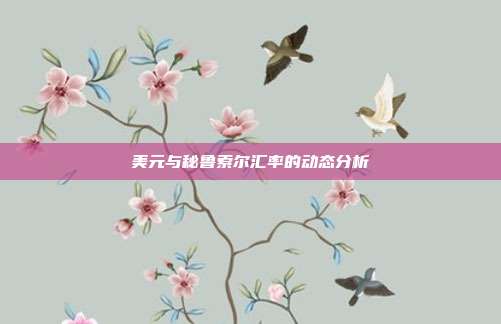 美元与秘鲁索尔汇率的动态分析