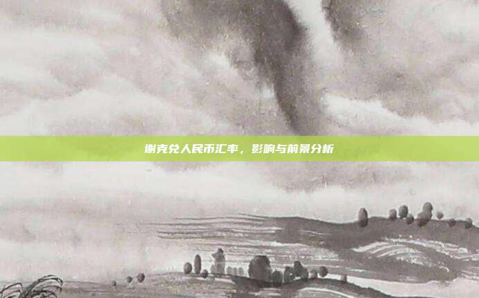 谢克兑人民币汇率，影响与前景分析