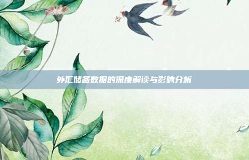 外汇储备数据的深度解读与影响分析