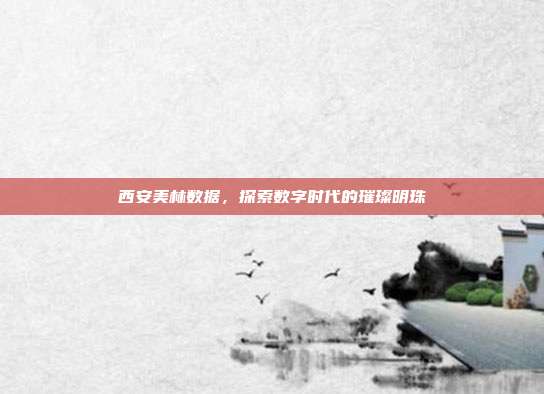 西安美林数据,探索数字时代的璀璨明珠