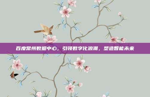百度常州数据中心,引领数字化浪潮,塑造智能未来