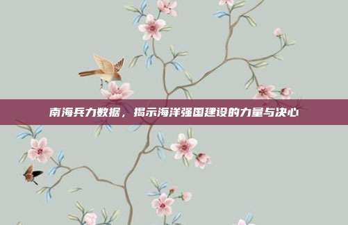 南海兵力数据，揭示海洋强国建设的力量与决心