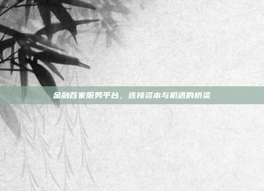 金融百家服务平台,连接资本与机遇的桥梁