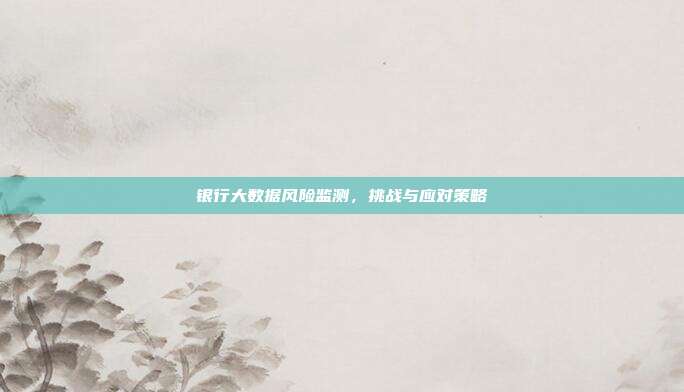 银行大数据风险监测，挑战与应对策略