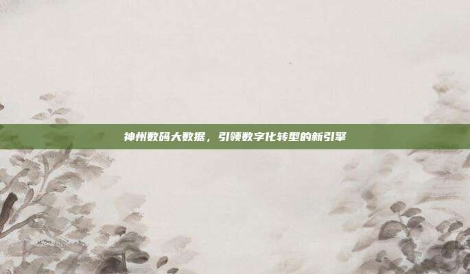 神州数码大数据，引领数字化转型的新引擎