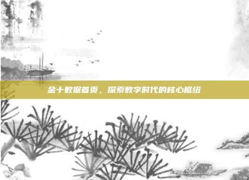 金十数据首页，探索数字时代的核心枢纽