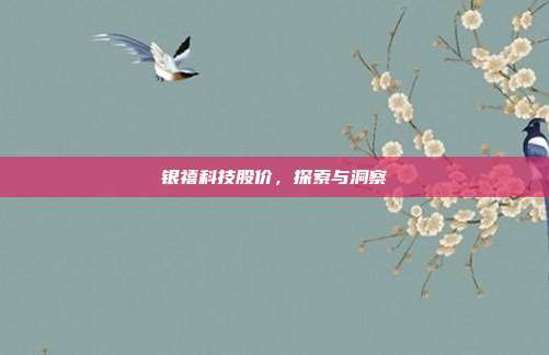 银禧科技股价，探索与洞察