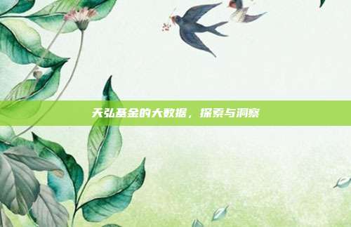 天弘基金的大数据，探索与洞察