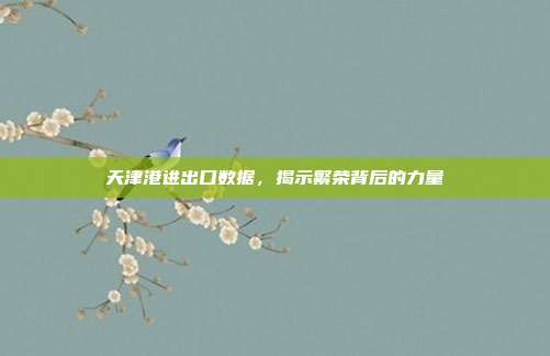 天津港进出口数据，揭示繁荣背后的力量