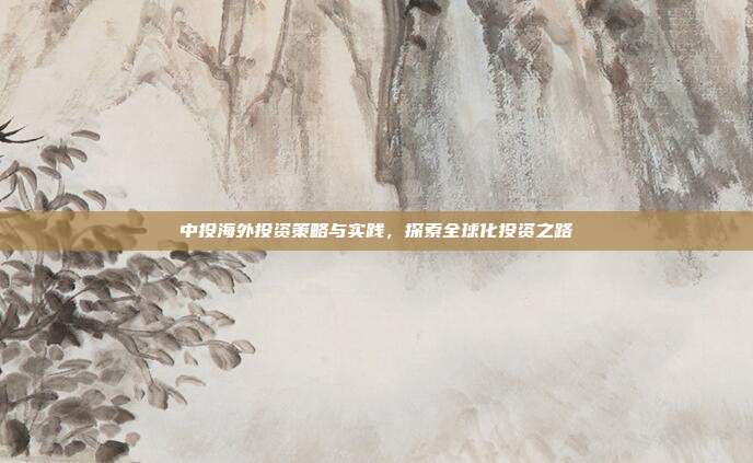 中投海外投资策略与实践，探索全球化投资之路