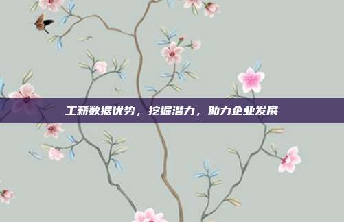 工薪数据优势，挖掘潜力，助力企业发展