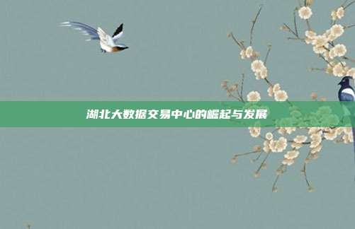 湖北大数据交易中心的崛起与发展