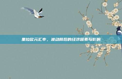 里拉欧元汇率，波动背后的经济因素与影响