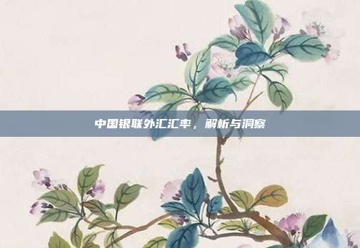 中国银联外汇汇率，解析与洞察