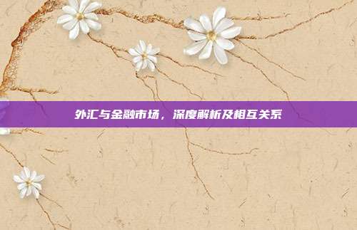 外汇与金融市场，深度解析及相互关系
