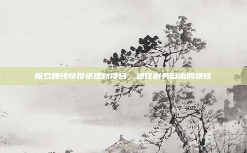 探索赚钱快投资理财项目，通往财务自由的捷径
