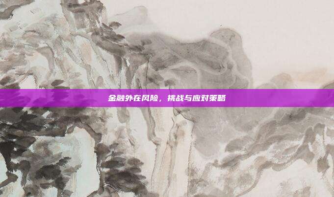 金融外在风险，挑战与应对策略