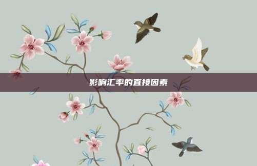 影响汇率的直接因素