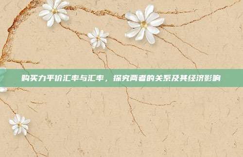购买力平价汇率与汇率，探究两者的关系及其经济影响