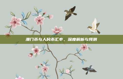澳门币与人民币汇率，深度解析与预测