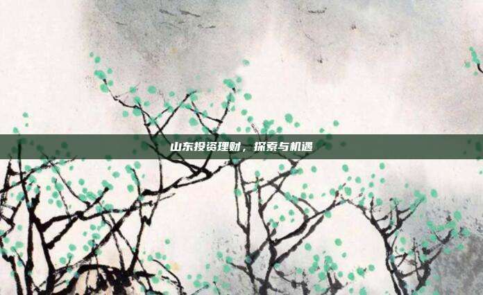 山东投资理财，探索与机遇
