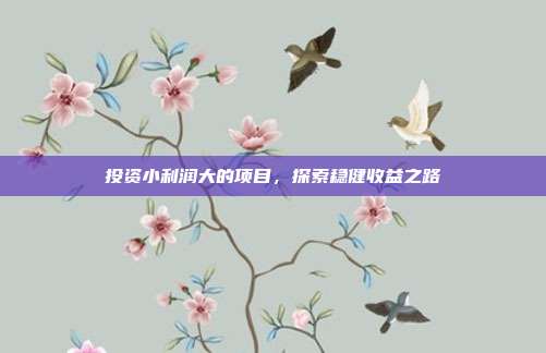 投资小利润大的项目，探索稳健收益之路