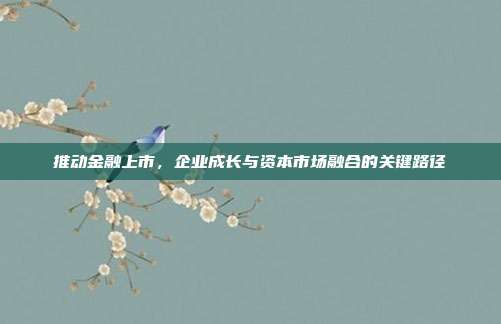 推动金融上市，企业成长与资本市场融合的关键路径