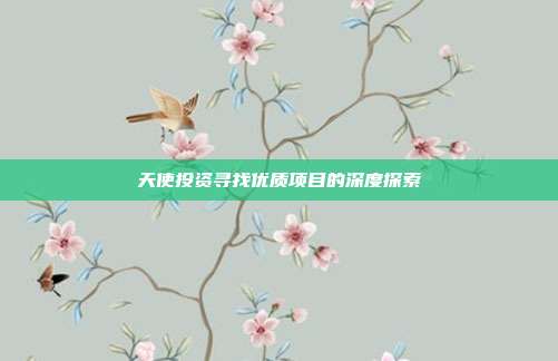 天使投资寻找优质项目的深度探索
