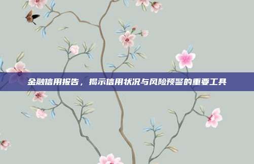 金融信用报告，揭示信用状况与风险预警的重要工具