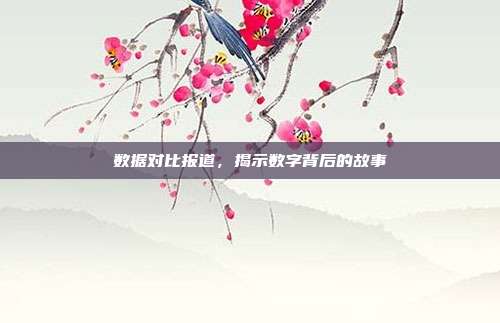 数据对比报道，揭示数字背后的故事