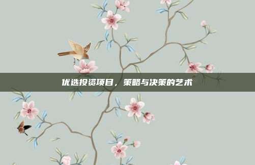优选投资项目，策略与决策的艺术