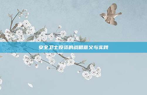安全卫士投资的战略意义与实践