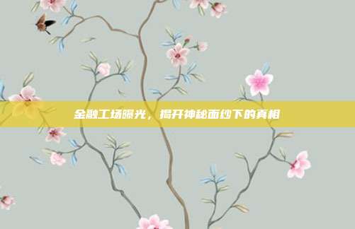 金融工场曝光，揭开神秘面纱下的真相