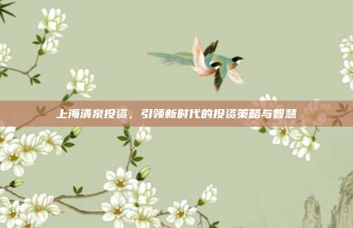 上海清泉投资，引领新时代的投资策略与智慧