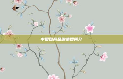 中国国商金融集团简介