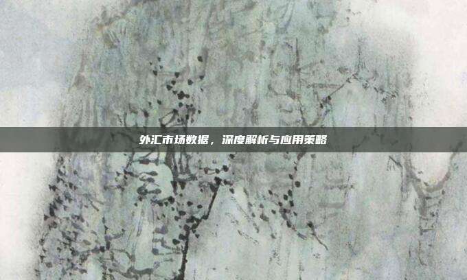 外汇市场数据，深度解析与应用策略