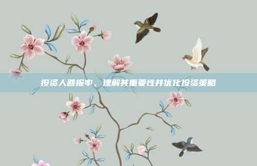 投资人回报率，理解其重要性并优化投资策略