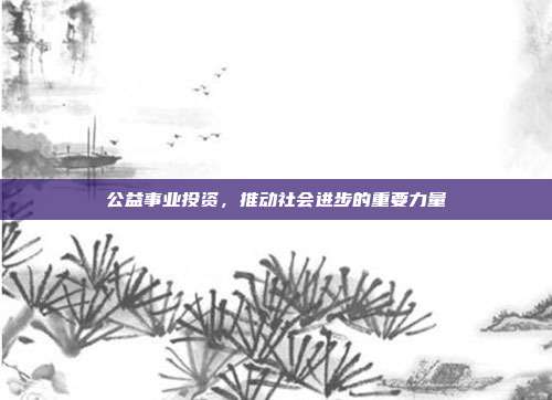 公益事业投资，推动社会进步的重要力量