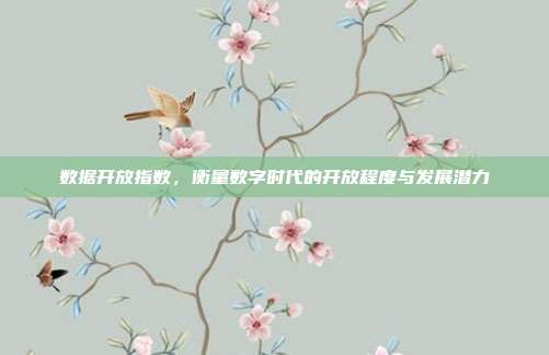 数据开放指数，衡量数字时代的开放程度与发展潜力