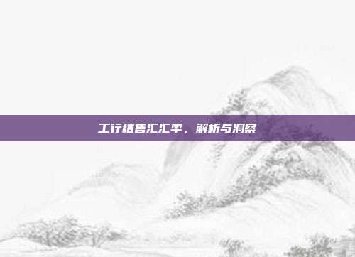 工行结售汇汇率，解析与洞察