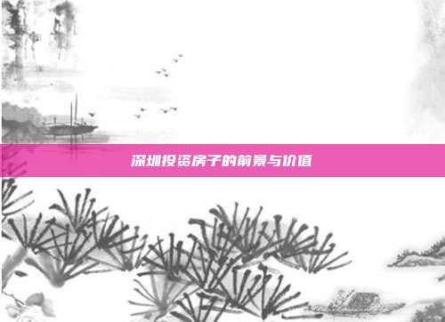 深圳投资房子的前景与价值